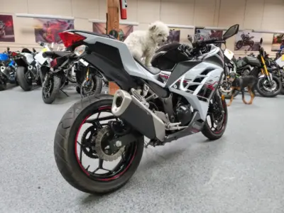 2014 Kawasaki Ninja 300 SPECIAL EDITION