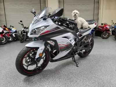 2014 Kawasaki Ninja 300 SPECIAL EDITION