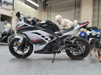 2014 Kawasaki Ninja 300 SPECIAL EDITION