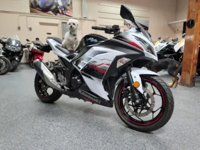 2014 Kawasaki Ninja 300 SPECIAL EDITION