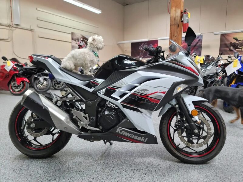 2014 Kawasaki Ninja 300 SPECIAL EDITION