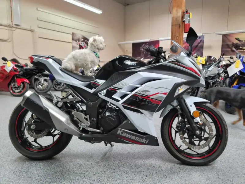 2014 Kawasaki Ninja 300 SPECIAL EDITION