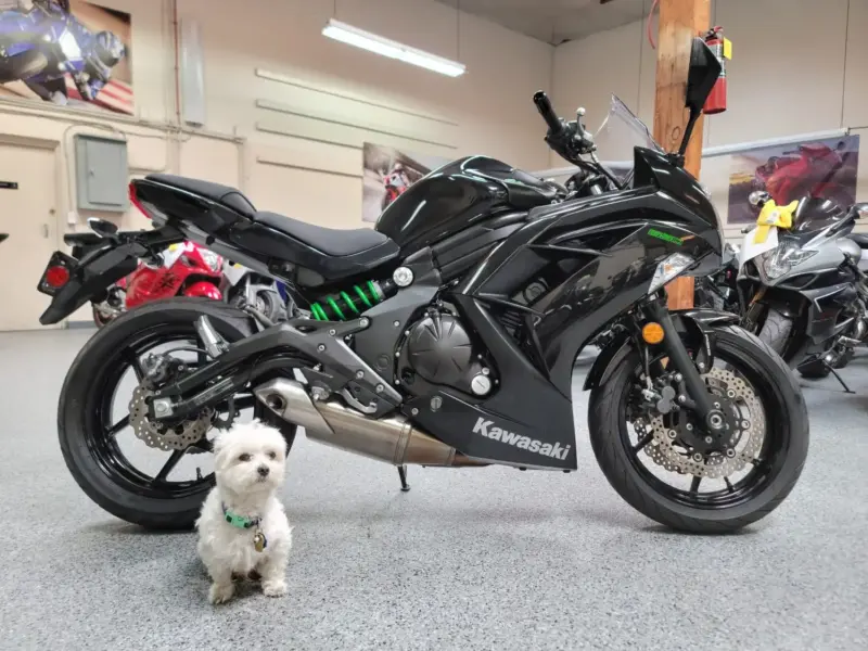2015 Kawasaki Ninja 650 ABS