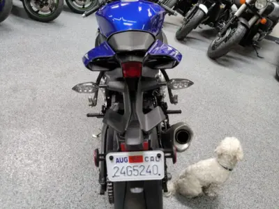 2015 Yamaha R1
