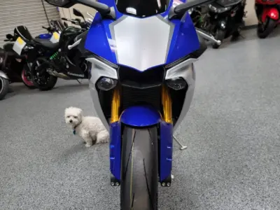 2015 Yamaha R1