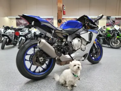 2015 Yamaha R1
