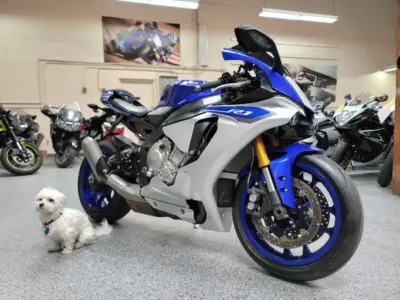 2015 Yamaha R1