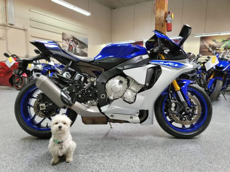2015 Yamaha R1