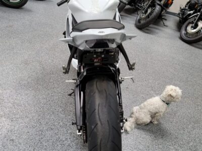 2015 Yamaha R6 RAVEN