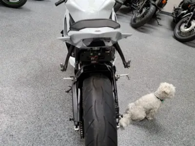 2015 Yamaha R6 RAVEN