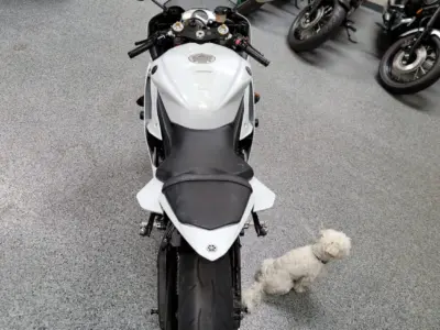 2015 Yamaha R6 RAVEN