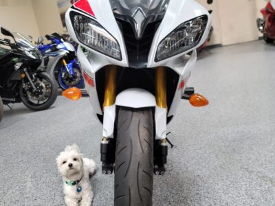 2015 Yamaha R6 RAVEN