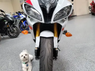 2015 Yamaha R6 RAVEN