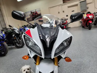 2015 Yamaha R6 RAVEN