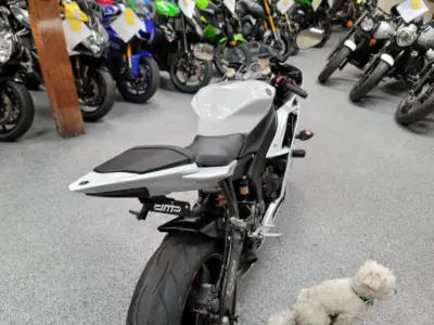 2015 Yamaha R6 RAVEN