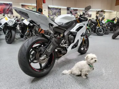 2015 Yamaha R6 RAVEN