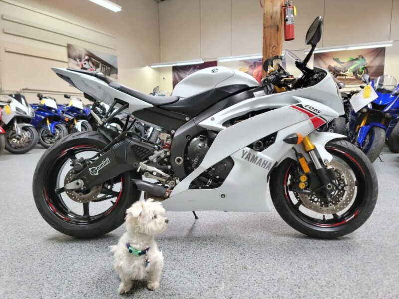 2015 Yamaha R6 RAVEN
