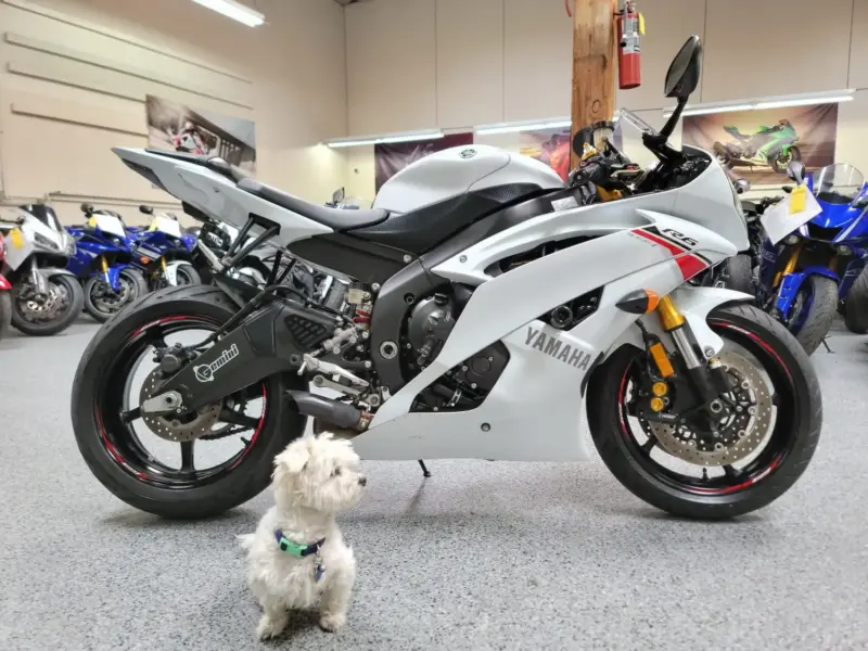 2015 Yamaha R6 RAVEN