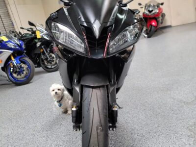 2015 Yamaha R6 RAVEN