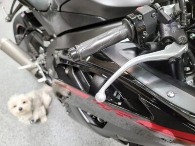 2015 Yamaha R6 RAVEN