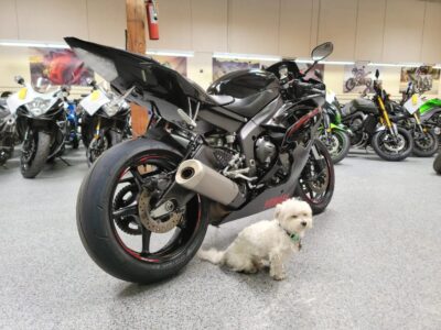 2015 Yamaha R6 RAVEN