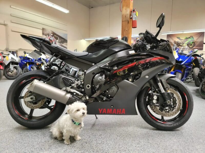 2015 Yamaha R6 RAVEN