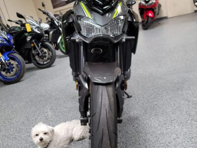 2017 Kawasaki Z900