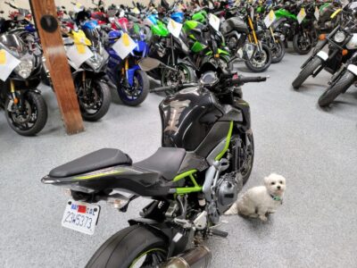 2017 Kawasaki Z900