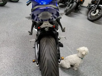 2015 Yamaha R6