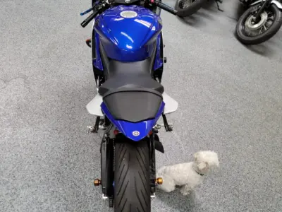 2015 Yamaha R6