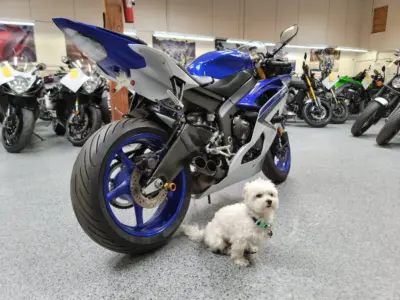 2015 Yamaha R6