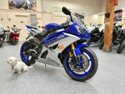 2015 Yamaha R6