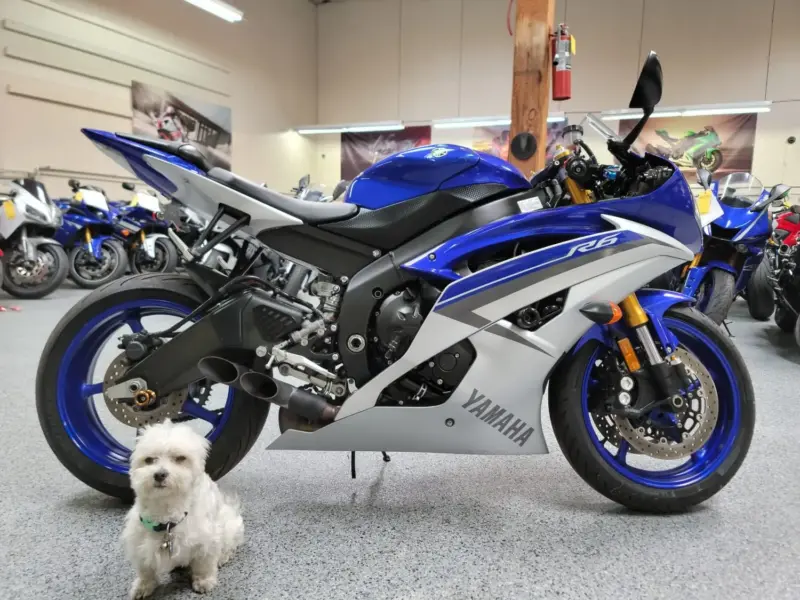 2015 Yamaha R6