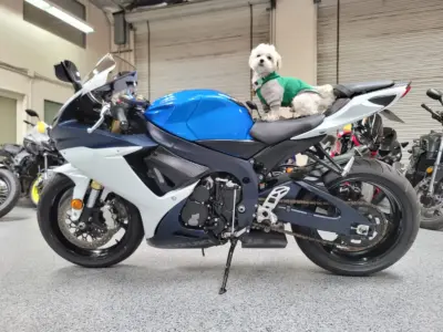 2011 Suzuki GSXR 750
