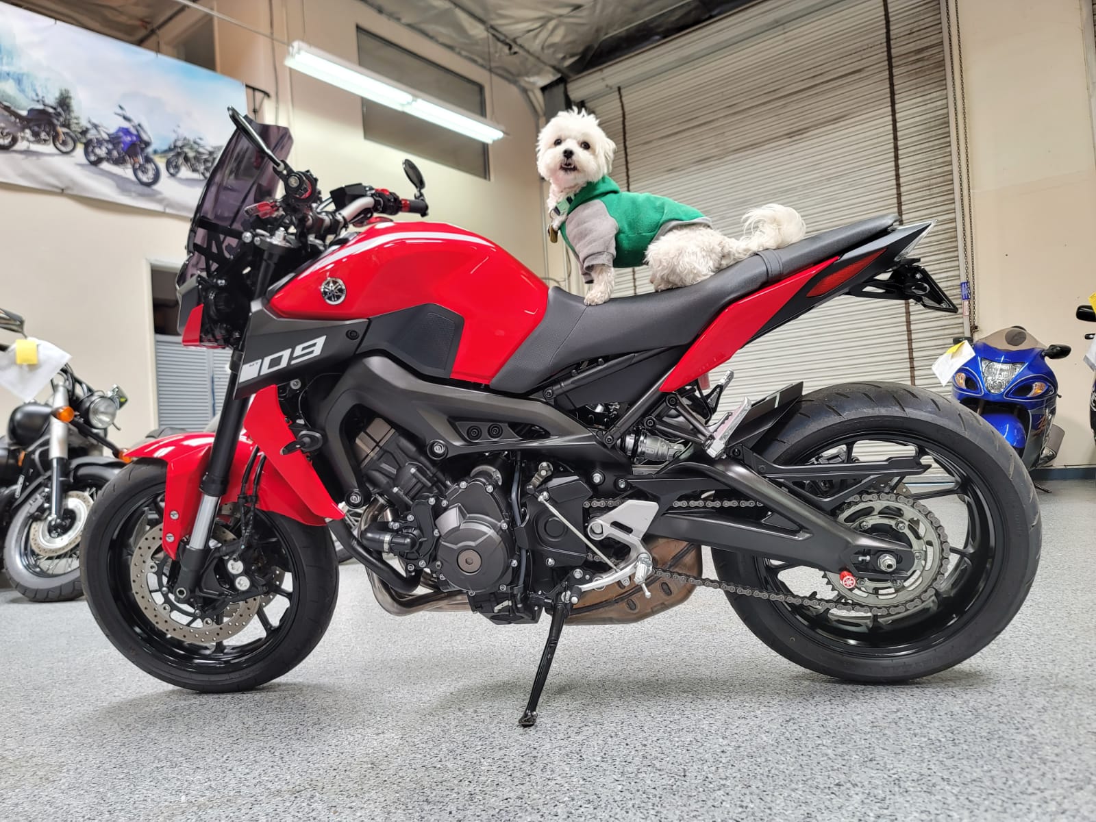 2018 Yamaha MT09 MT09 6000 Miles AK Motors