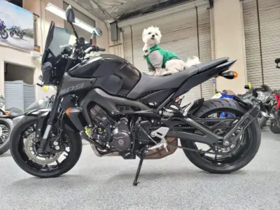2020 Yamaha MT09 MT-09