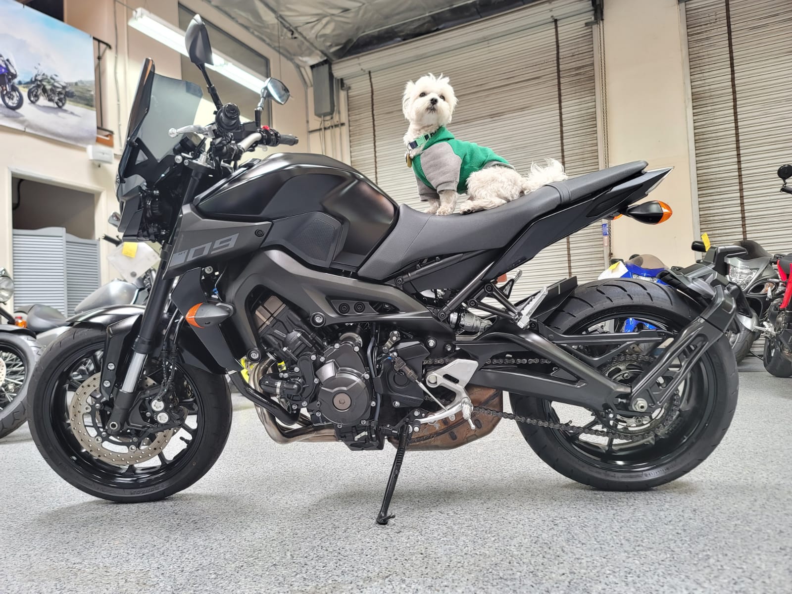 yamaha mt 09 2020 blue