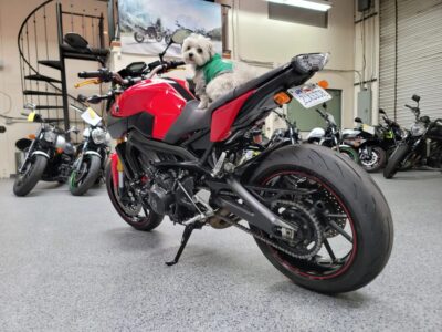 2014 Yamaha FZ09 FZ-09