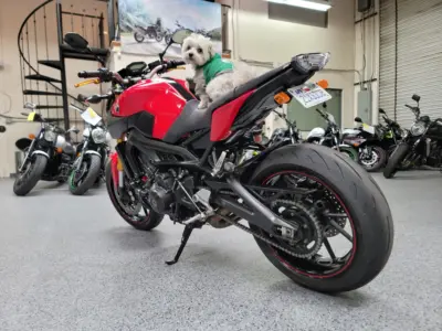 2014 Yamaha FZ09 FZ-09