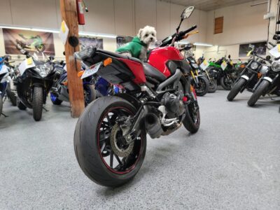 2014 Yamaha FZ09 FZ-09