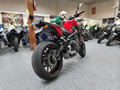 2014 Yamaha FZ09 FZ-09