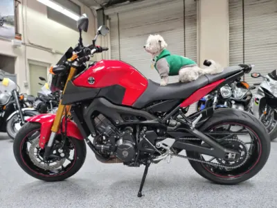 2014 Yamaha FZ09 FZ-09