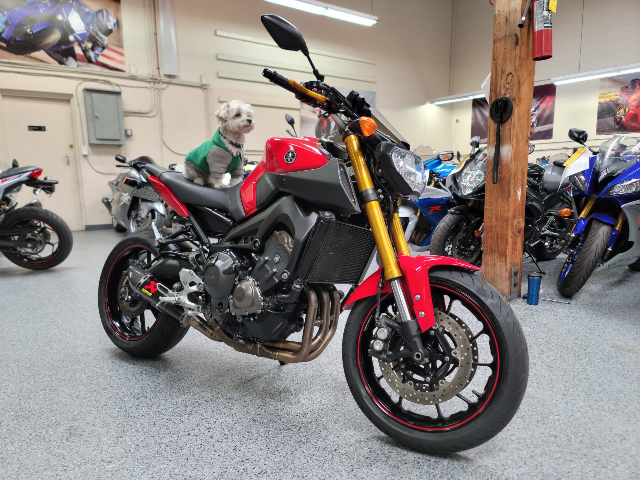 2014 Yamaha FZ09 FZ-09 - AK Motors