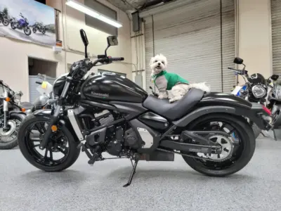 2015 Kawasaki Vulcan S ABS