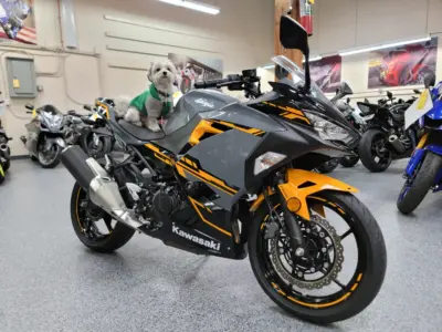 2018 Kawasaki Ninja 400 ABS