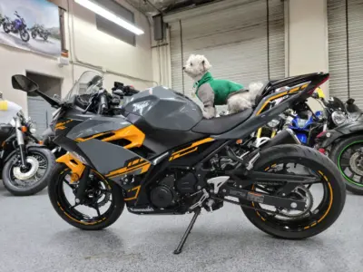 2018 Kawasaki Ninja 400 ABS