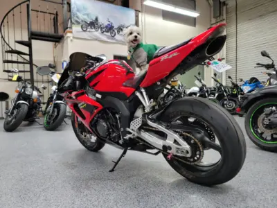2006 Honda CBR1000RR