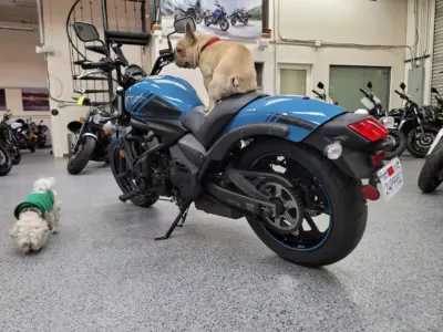 2019 Kawasaki Vulcan S ABS