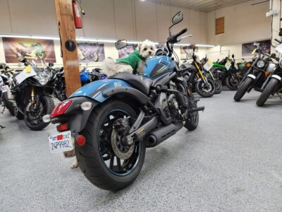 2019 Kawasaki Vulcan S ABS