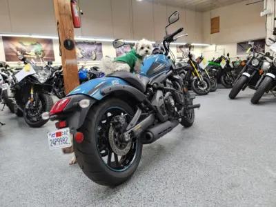 2019 Kawasaki Vulcan S ABS